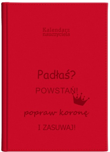 CZERWONY KN VIV TYG 26-27 5.jpg