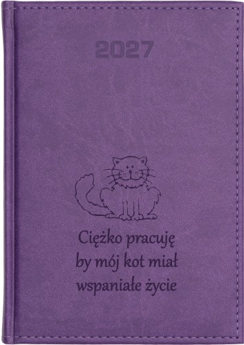 FIOLETOWY VIVELLA KK DZ 27 74.jpg