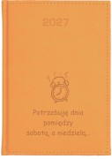 ŻÓŁTY VIVELLA KK DZ 2027 110.jpg