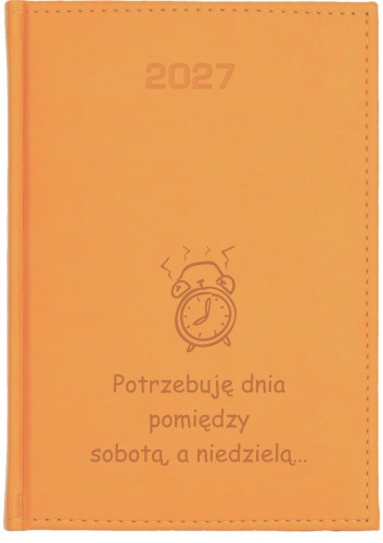 ŻÓŁTY VIVELLA KK DZ 2027 110.jpg