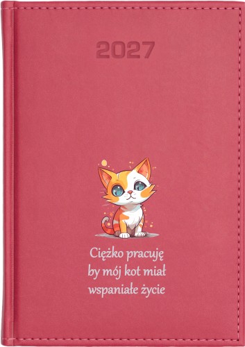RÓŻOWY KK VIV 27 N 7.jpg
