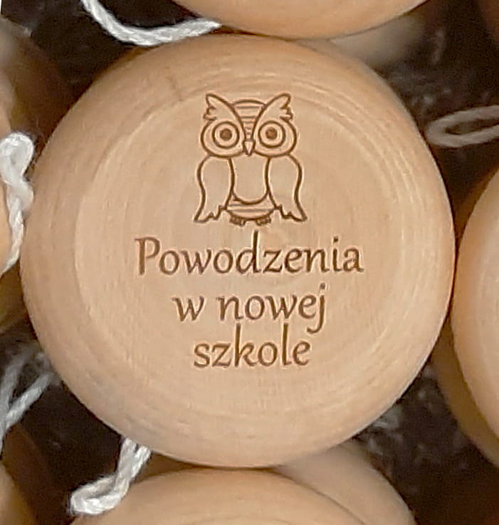 Powodzenia w Nowej Szkole Sowa.jpg