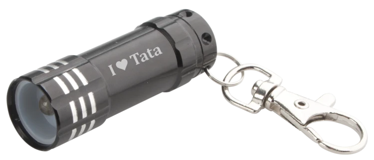 pico I love Tata.png