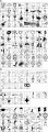 8302.jpg