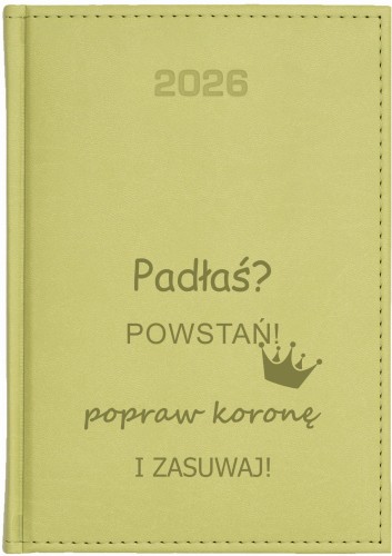 19_OLIWKA_VIVELLA_KK_DZ_2026.jpg